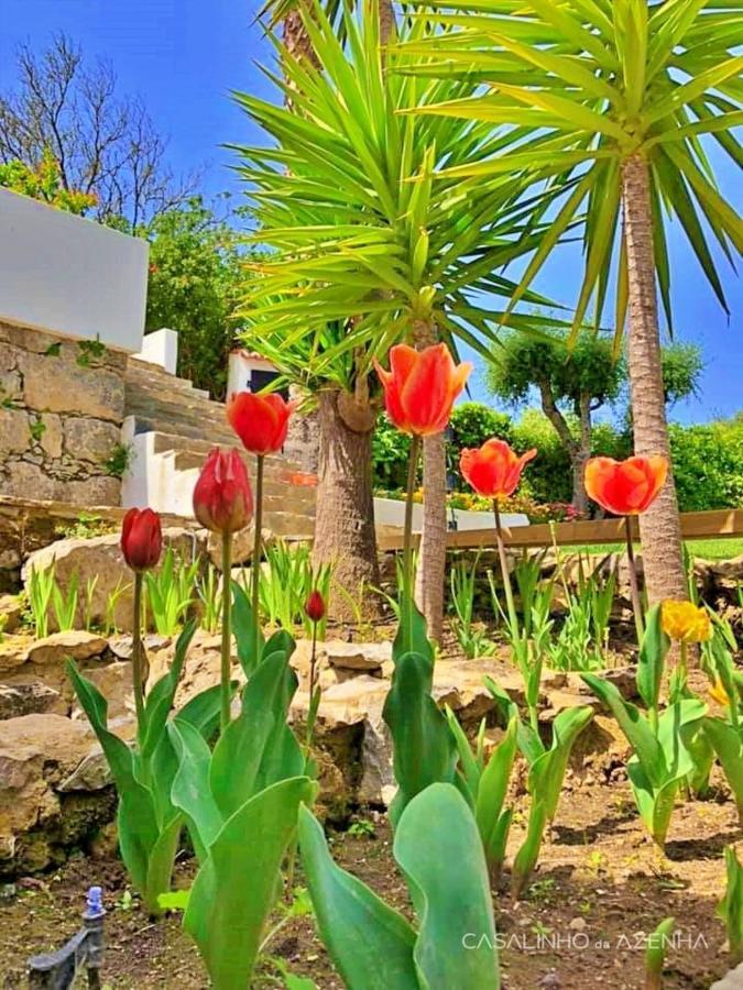 Casalinho Da Azenha - Charm House Otel Sintra Dış mekan fotoğraf